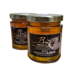 Bee Welsh Honey -  Blossom Honey (Clear) 227g