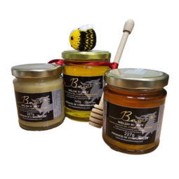 Bee Welsh Honey - Mêl Blodau (Clir) 227g