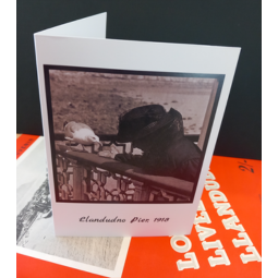 Conwy Archives Greeting Card - Llandudno Pier