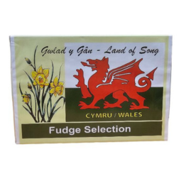 
            
                Load image into Gallery viewer, Gwynedd Confectioners - Fudge Selection
            
        