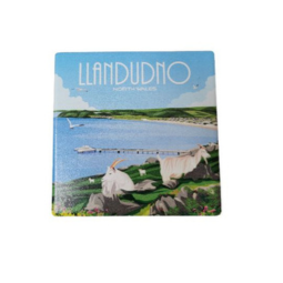 Llwythwch y llun i mewn i wyliwr Oriel, Llandudno Ceramic Coaster