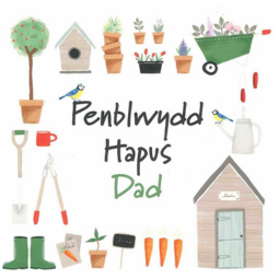 Greeting Card - Penblwydd Hapus Dad