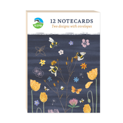 RSPB 'Beyond the Hedgerow' A6 Notecard Set - Bees Amongst the Flowers