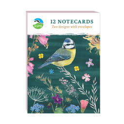 RSPB 'Beyond the Hedgerow' A6 Notecard Set and Wallet - Birds in the Garden
