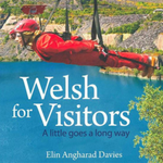 Welsh for Visitors