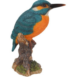 Kingfisher on Stump