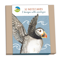RSPB 'In the Wild' Puffin and Kingfisher Notecards