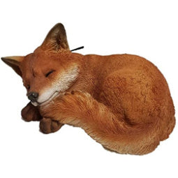 Llwythwch y ddelwedd i wyliwr yr Oriel, Sleeping Fox Cub